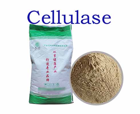 Cellulase