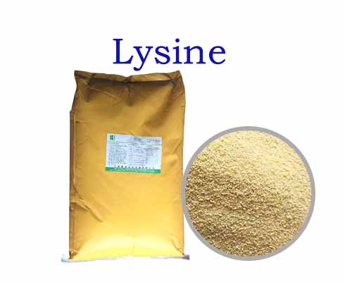 Lysine