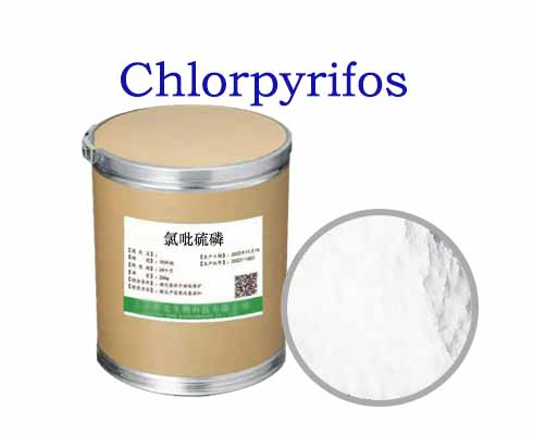 Chlorpyrifos