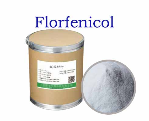 Florfenicol