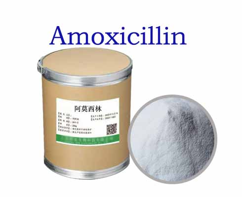 Amoxicillin