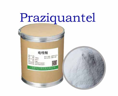 Praziquantel