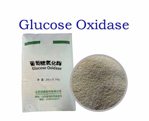 Glucose Oxidase