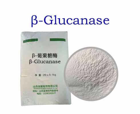 β-Glucanase