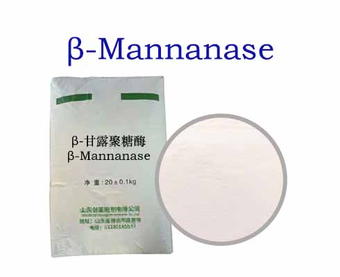 β-Mannanase