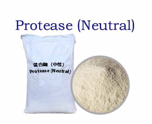 Protease (Neutral)