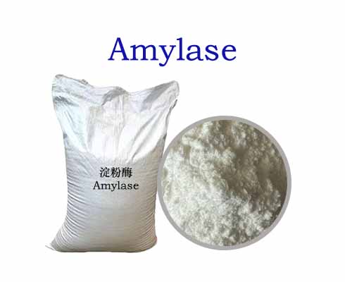 Amylase