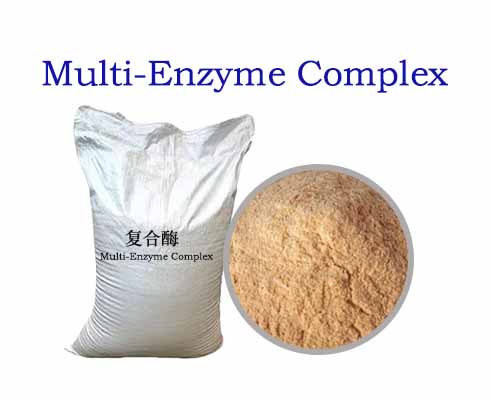 Multi-Enzyme Complex