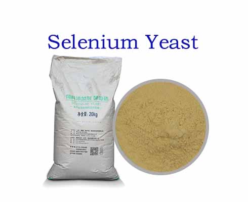 Selenium Yeast