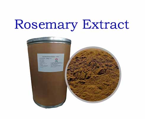 Rosemary Extract