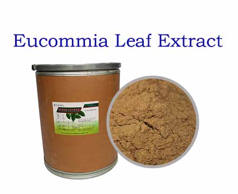 Eucommia Leaf Extract