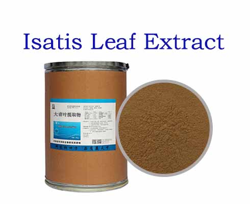 Isatis Leaf Extract