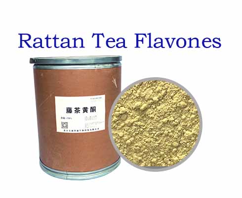 Rattan Tea Flavones