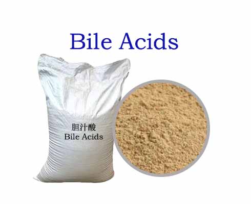 Bile Acids