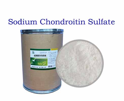 Sodium Chondroitin Sulfate
