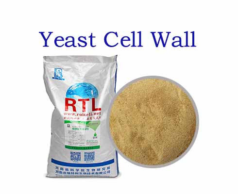 Yeast Cell Wall