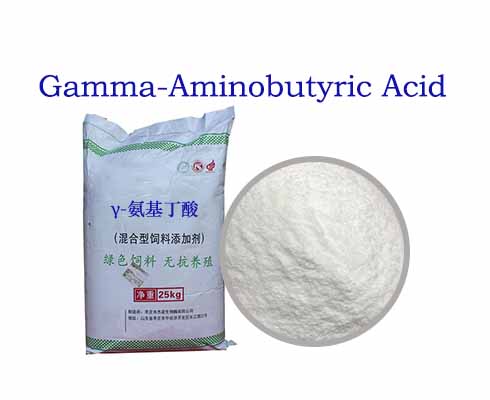 Gamma-Aminobutyric Acid (GABA)
